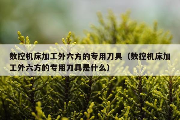 数控机床加工外六方的专用刀具（数控机床加工外六方的专用刀具是什么）