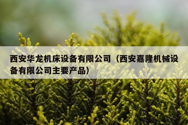 西安华龙机床设备有限公司(西安嘉隆机械设备有限公司主要产品)