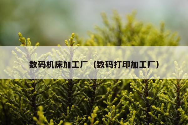 数码机床加工厂(数码打印加工厂)
