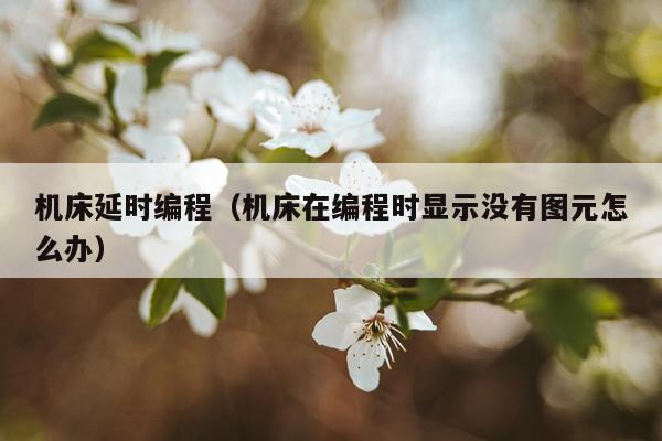 机床延时编程(机床在编程时显示没有图元怎么办)