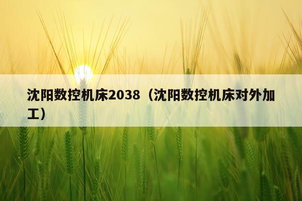 沈阳数控机床2038（沈阳数控机床对外加工）