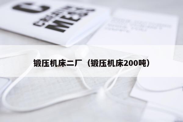 锻压机床二厂（锻压机床200吨）