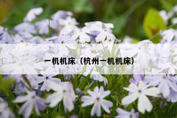 一机机床（杭州一机机床）