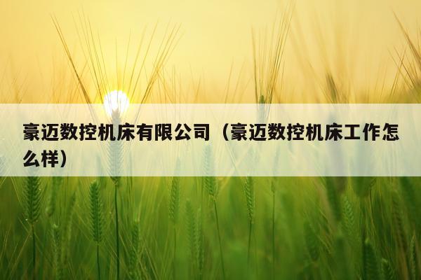 豪迈数控机床有限公司(豪迈数控机床工作怎么样)