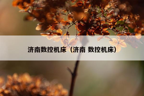 济南数控机床(济南 数控机床)