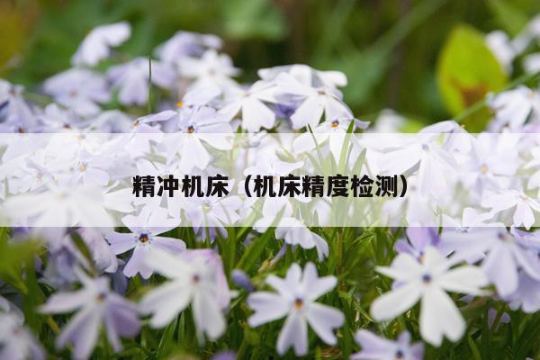 精冲机床(机床精度检测)