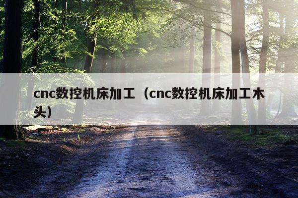 cnc数控机床加工(cnc数控机床加工木头)