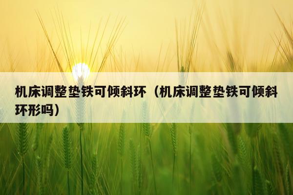 机床调整垫铁可倾斜环（机床调整垫铁可倾斜环形吗）