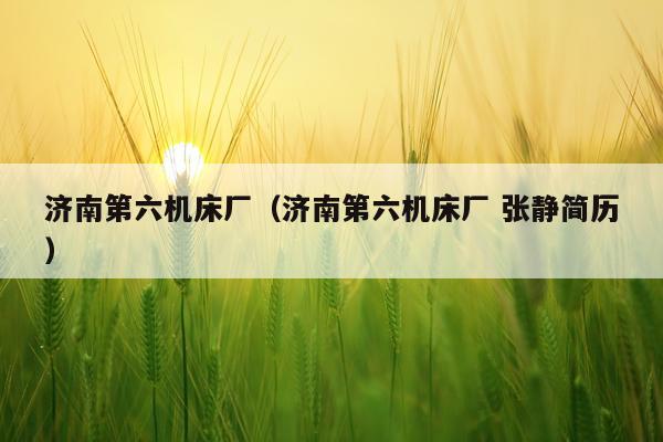 济南第六机床厂（济南第六机床厂 张静简历）