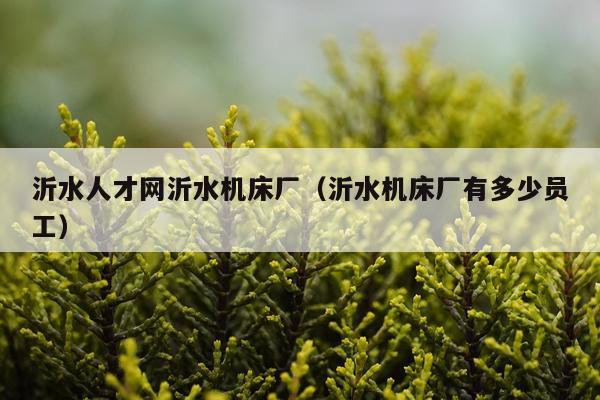 沂水人才网沂水机床厂（沂水机床厂有多少员工）