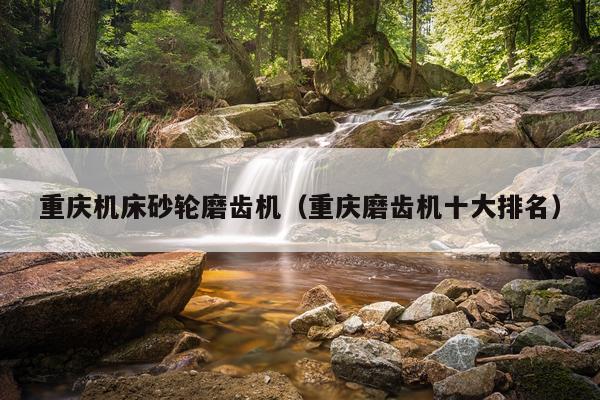 重庆机床砂轮磨齿机（重庆磨齿机十大排名）