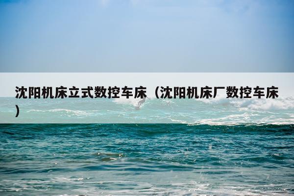 沈阳机床立式数控车床（沈阳机床厂数控车床）