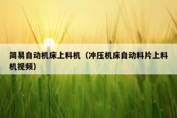 简易自动机床上料机（冲压机床自动料片上料机视频）
