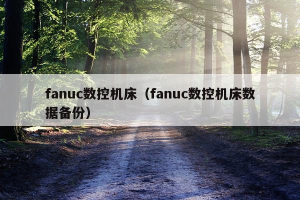 fanuc数控机床（fanuc数控机床数据备份）