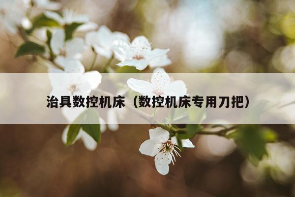 治具数控机床（数控机床专用刀把）
