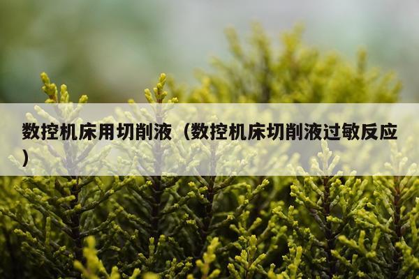 数控机床用切削液（数控机床切削液过敏反应）