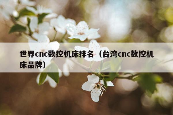 世界cnc数控机床排名（台湾cnc数控机床品牌）