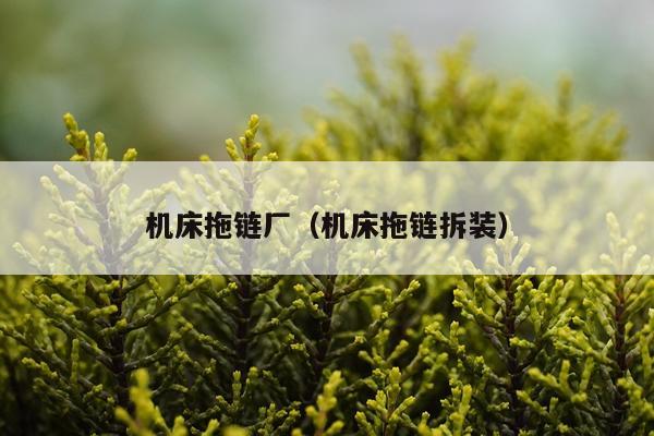 机床拖链厂（机床拖链拆装）