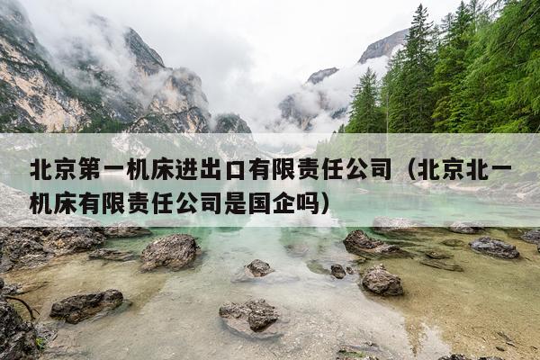 北京第一机床进出口有限责任公司（北京北一机床有限责任公司是国企吗）