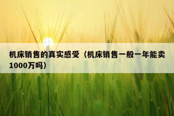 机床销售的真实感受（机床销售一般一年能卖1000万吗）