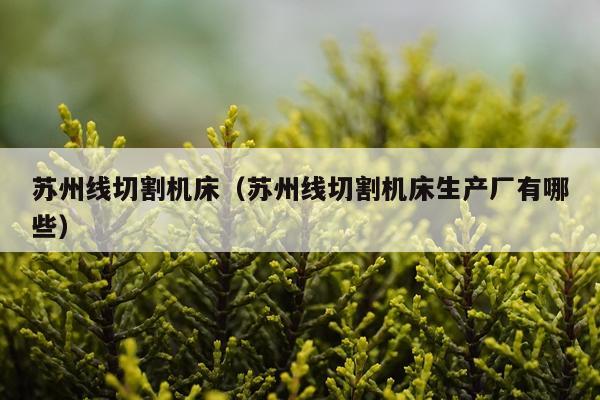 苏州线切割机床（苏州线切割机床生产厂有哪些）