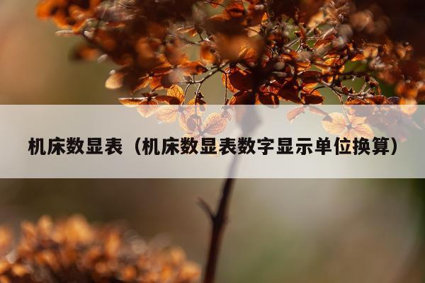 机床数显表（机床数显表数字显示单位换算）