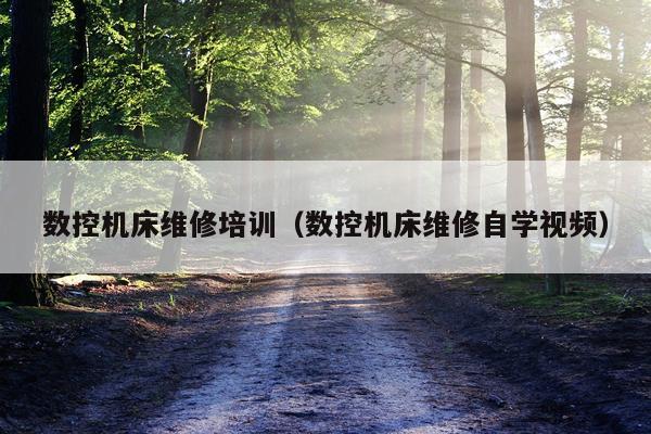数控机床维修培训（数控机床维修自学视频）
