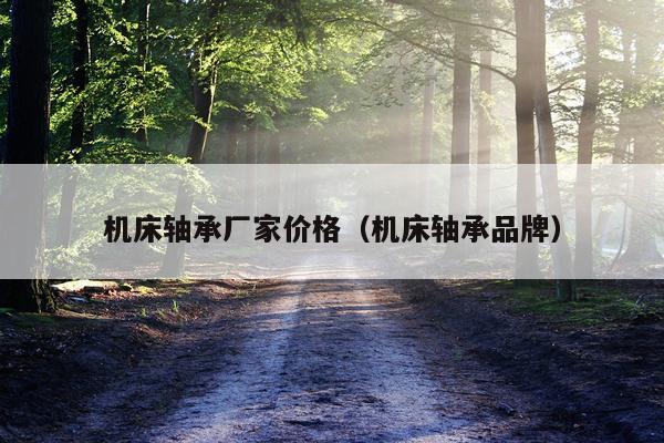 机床轴承厂家价格（机床轴承品牌）