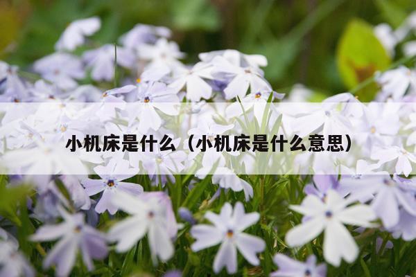 小机床是什么（小机床是什么意思）