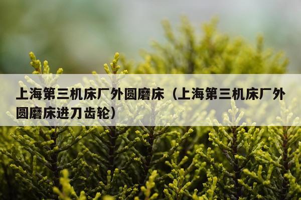 上海第三机床厂外圆磨床（上海第三机床厂外圆磨床进刀齿轮）