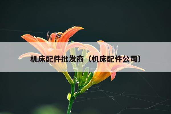 机床配件批发商（机床配件公司）