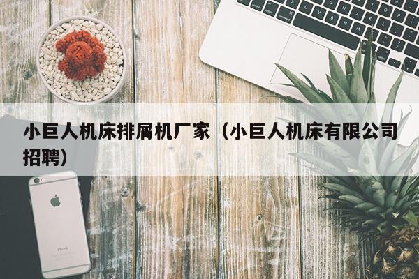 小巨人机床排屑机厂家（小巨人机床有限公司招聘）