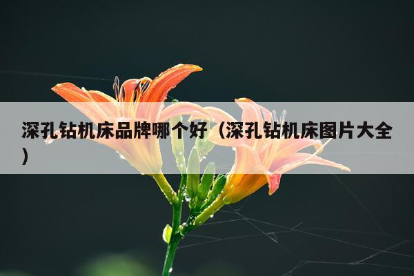 深孔钻机床品牌哪个好（深孔钻机床图片大全）