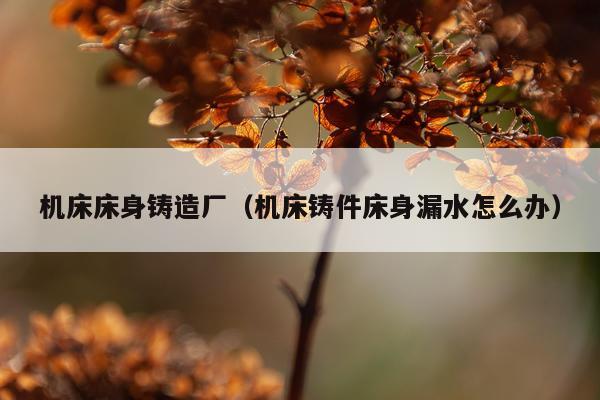 机床床身铸造厂（机床铸件床身漏水怎么办）