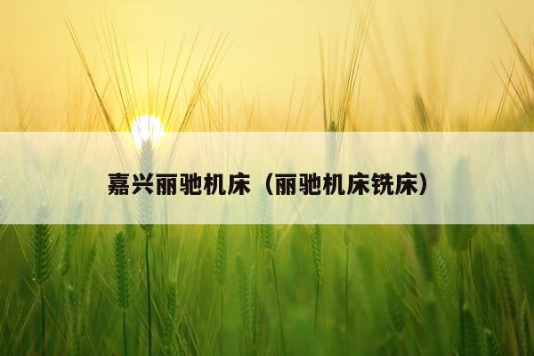 嘉兴丽驰机床（丽驰机床铣床）