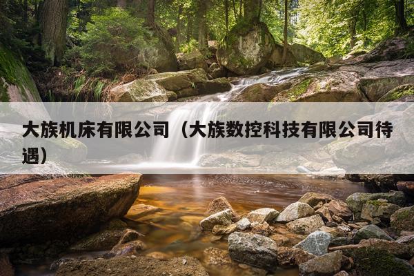 大族机床有限公司（大族数控科技有限公司待遇）