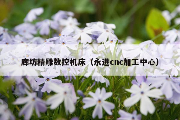 廊坊精雕数控机床（永进cnc加工中心）