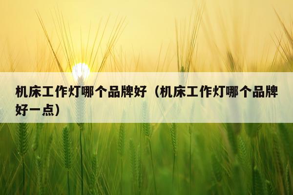 机床工作灯哪个品牌好（机床工作灯哪个品牌好一点）