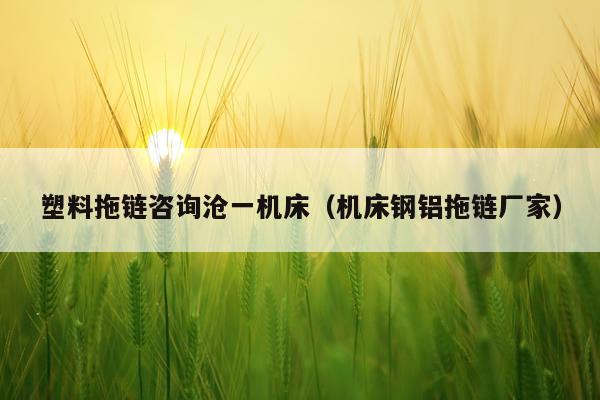 塑料拖链咨询沧一机床（机床钢铝拖链厂家）
