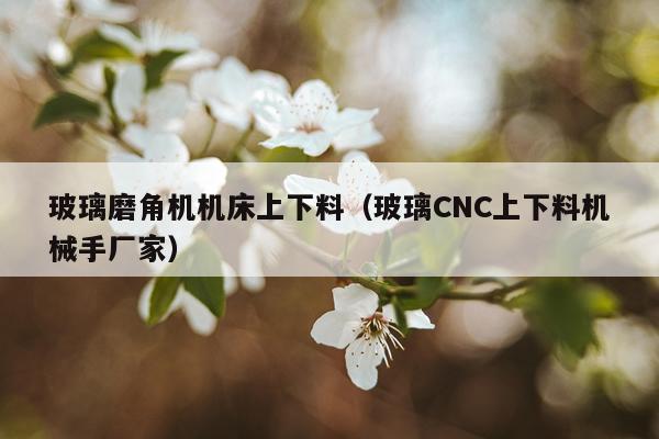 玻璃磨角机机床上下料（玻璃CNC上下料机械手厂家）