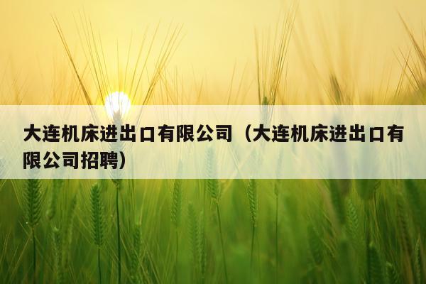 大连机床进出口有限公司（大连机床进出口有限公司招聘）