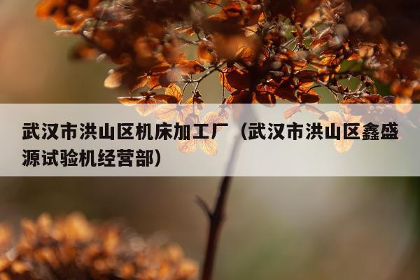 武汉市洪山区机床加工厂（武汉市洪山区鑫盛源试验机经营部）