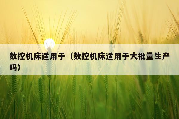 数控机床适用于（数控机床适用于大批量生产吗）