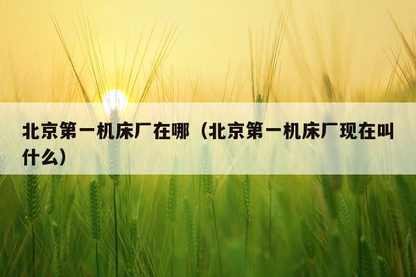 北京第一机床厂在哪（北京第一机床厂现在叫什么）