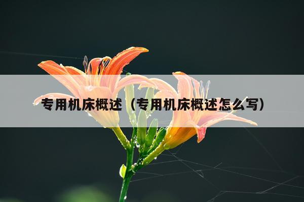 专用机床概述（专用机床概述怎么写）