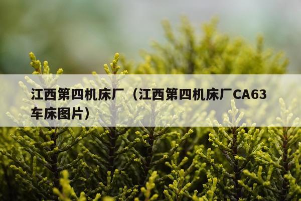 江西第四机床厂（江西第四机床厂CA63 车床图片）