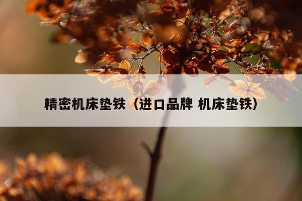 精密机床垫铁（进口品牌 机床垫铁）