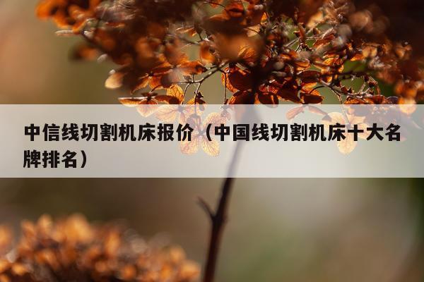 中信线切割机床报价（中国线切割机床十大名牌排名）