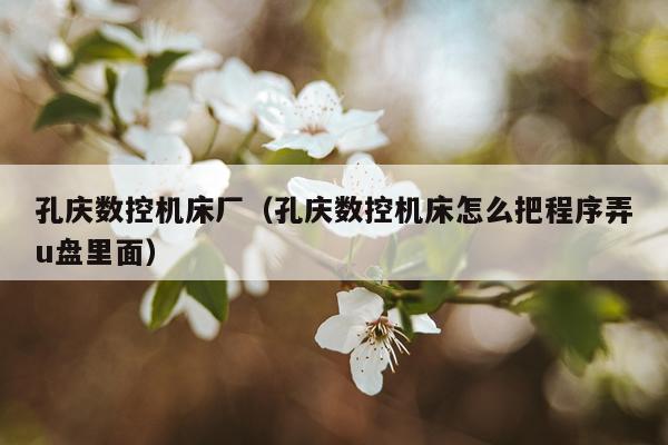 孔庆数控机床厂（孔庆数控机床怎么把程序弄u盘里面）