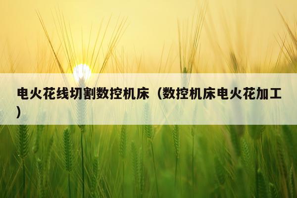 电火花线切割数控机床（数控机床电火花加工）